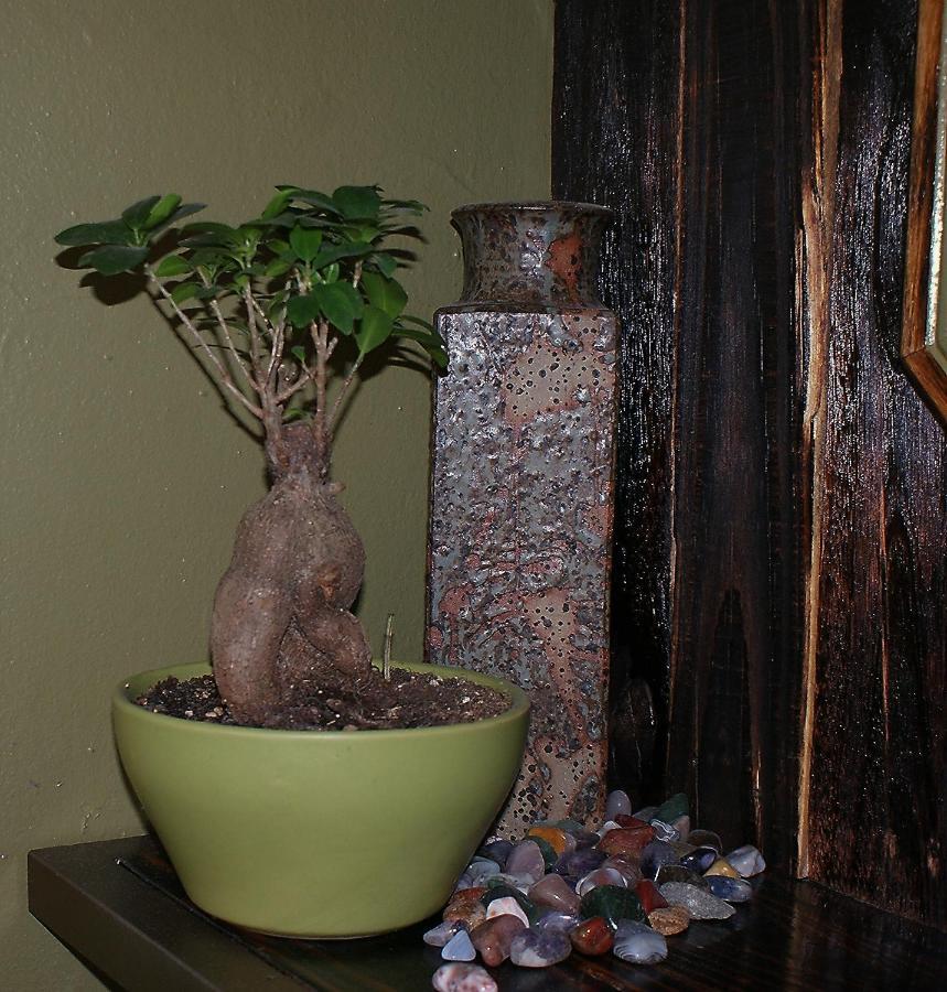 Ashtree Guesthouse Hanover Road Esterno foto