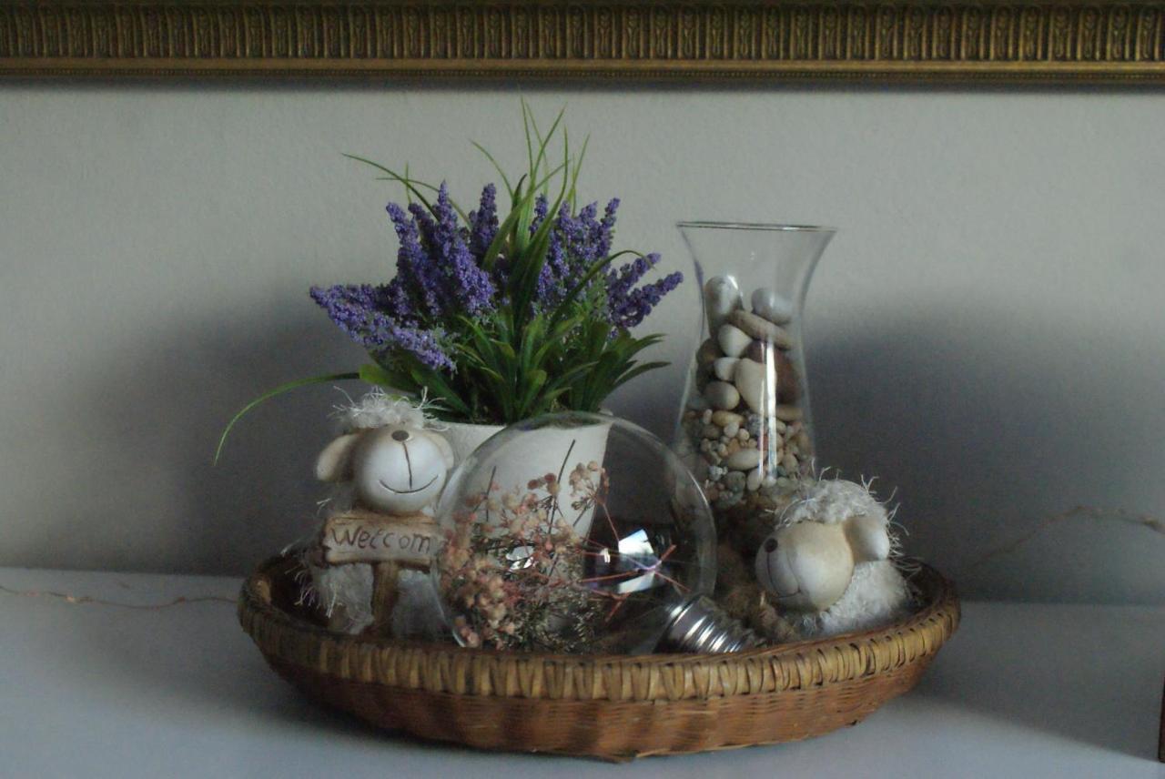 Ashtree Guesthouse Hanover Road Esterno foto
