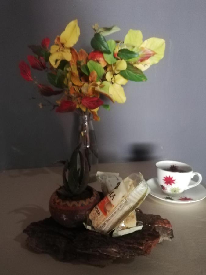 Ashtree Guesthouse Hanover Road Esterno foto